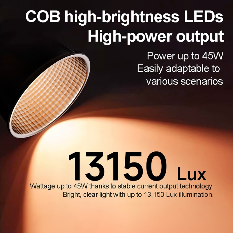 60W RGB Video Light Portable L - Photography Lightning recension och pris